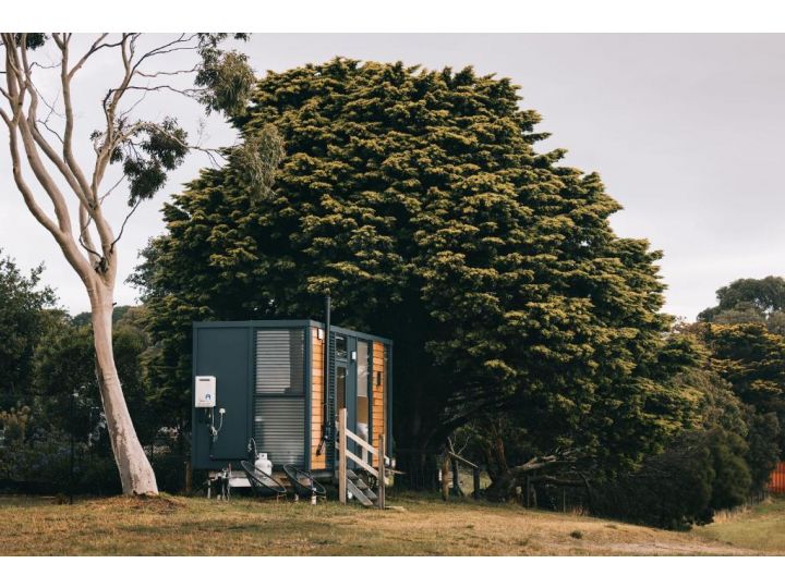 Tiny House Big View Guest house, Victoria - imaginea 13