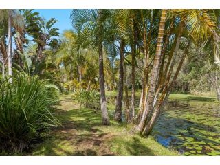 Treetops Lakeside Apartments Guest house, Byron Bay - 5