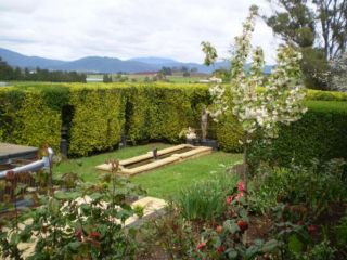 Willowlodge Bed and breakfast, Tasmania - 5