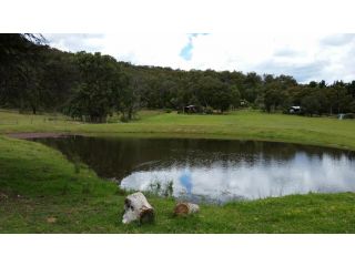 Wisteria Cottage Chalet, Queensland - 1