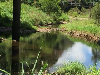 Yandina Caravan Park Campsite, Queensland - 5